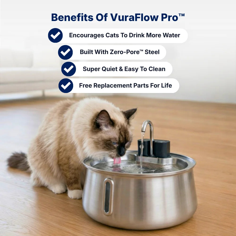 VuraFlow Pro™ Water Fountain