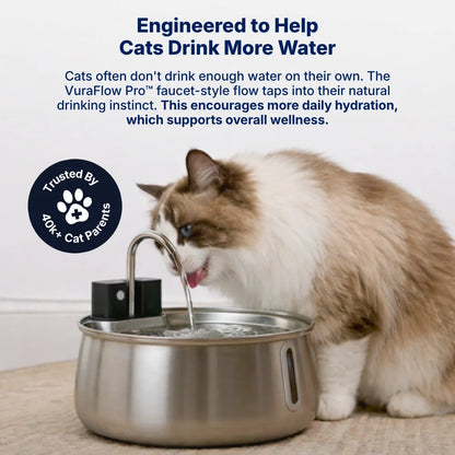 VuraFlow Pro™ Water Fountain
